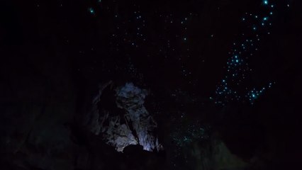 Une grotte remplie de vers luisants en Nouvelle-Zélande.. Magnifique