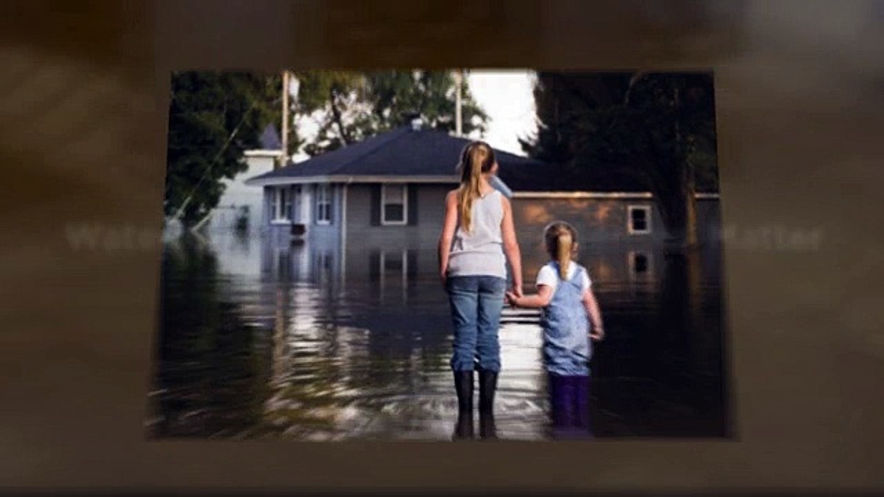 Davis Water Damage