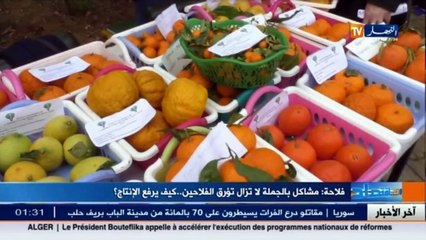 هذه هي المشاكل التي تؤرق الفلاحين في مجال الحمضيات