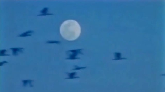 Svi smo mi dio istog svijeta