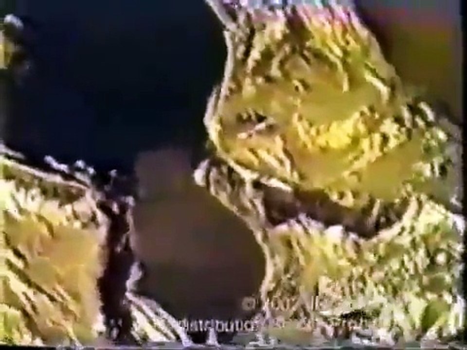 Alien Captured And Video Taped Real Footage Ufo Sightings 2014