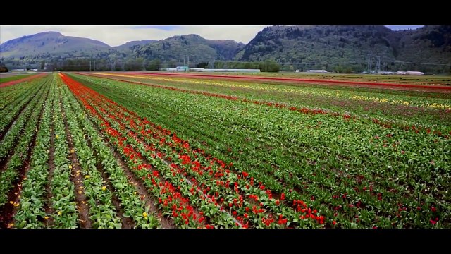 Pendu Amrinder Gill Feat Fateh Judaa 2 Latest Punjabi Romantic