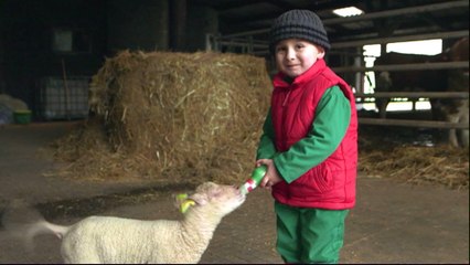 French livestock farmers struggle with finances