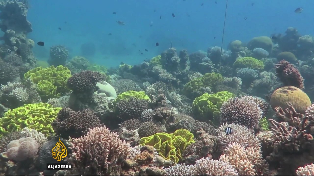 The ocean's trillion dollar blue economy - Counting the Cost