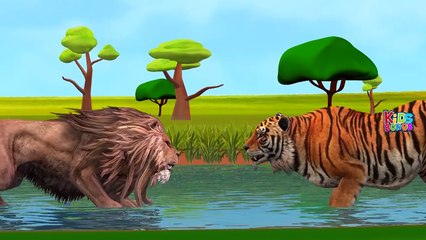 Lion Vs Tiger Finger Family Song | Tiger Vs Lion Fight | Children Nursery Rhymes by PoPo K