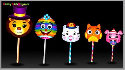 Finger Family Lollipop Lion, Cat, Pig, Owl Family Nursery Rhymes | Lollipop Finger Family Songs