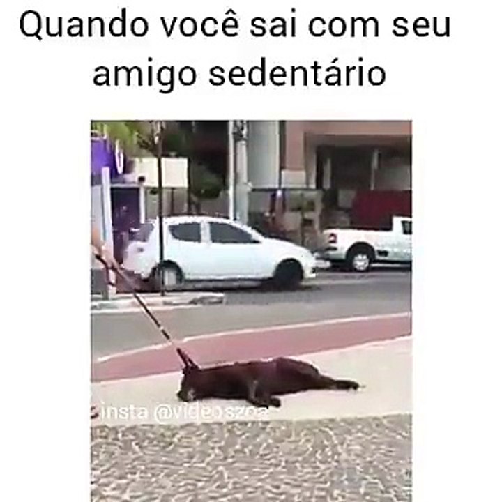 Seu amigos e dentário