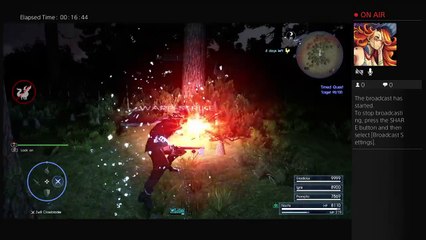 FFXV Cactuar exp (6)