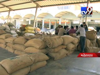 Now, Strict action will be taken against adulterated cumin seeds, Mehsana - Tv9
