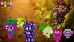 Baby Rhymes   Grapes Family Finger Songs   Finger Family Rhymes