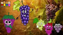 Baby Rhymes   Grapes Family Finger Songs   Finger Family Rhymes156