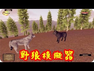 Kye923 | 野狼迷踪試玩版 Wolf Quest 2.7 Demo | 野狼模擬器
