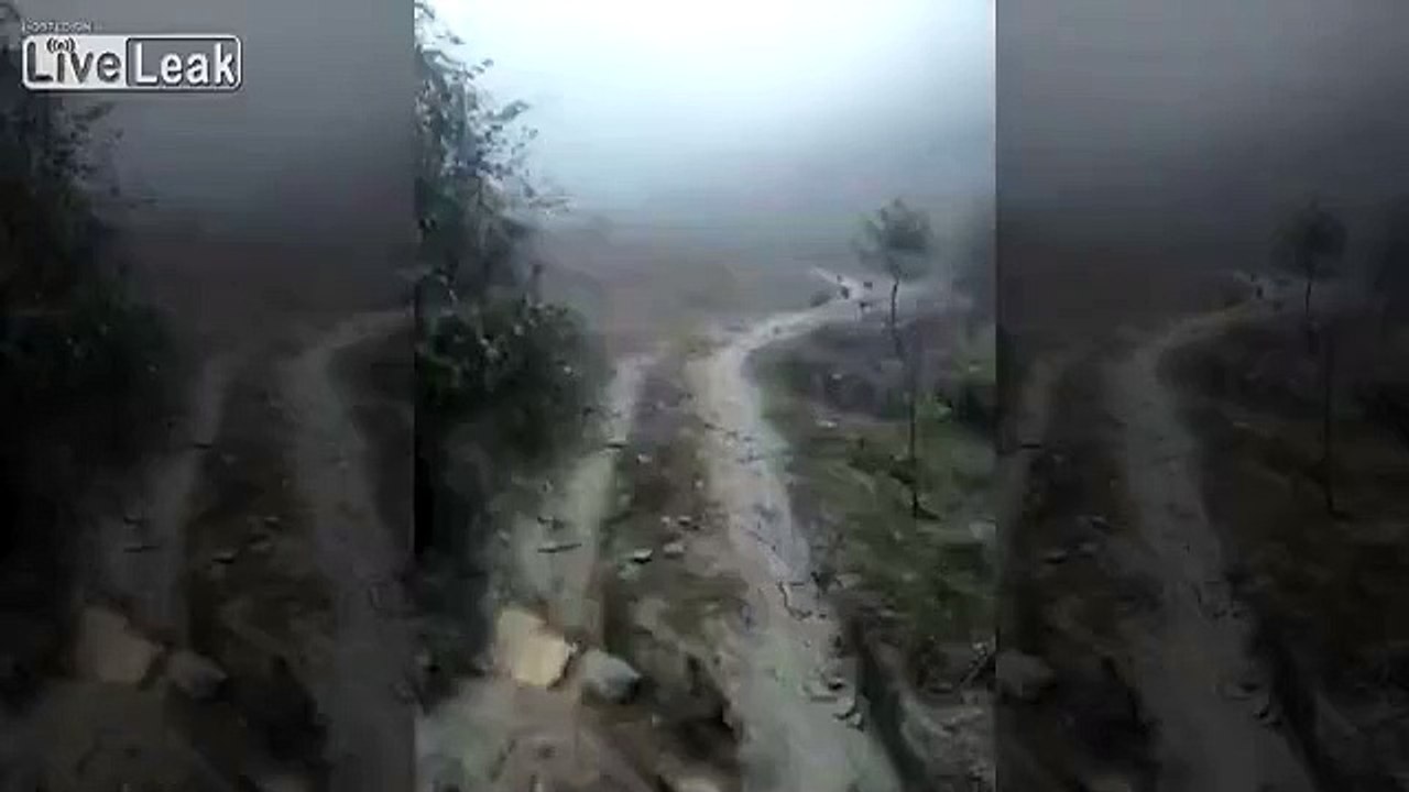 Dingue : des poules qui répondent à l’appel de leur maître