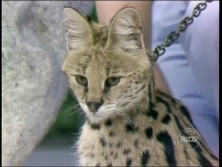 The All New Let's Make A Deal Big Deal $9,354