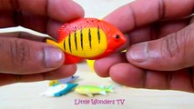 Toys R-US - Fishy Surprises!! Checkout 12 fish toys hidden inside 12 Surprise eggs - Baby
