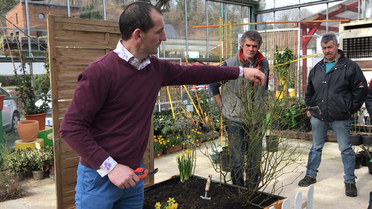 A quelle saison tailler ses rosiers?