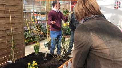 A combien d'yeux on taille son rosier?