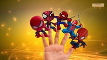 Dedo de la Familia Rimas para Niños | Spiderman dibujos animados | el Dedo de la Familia Rimas Colle