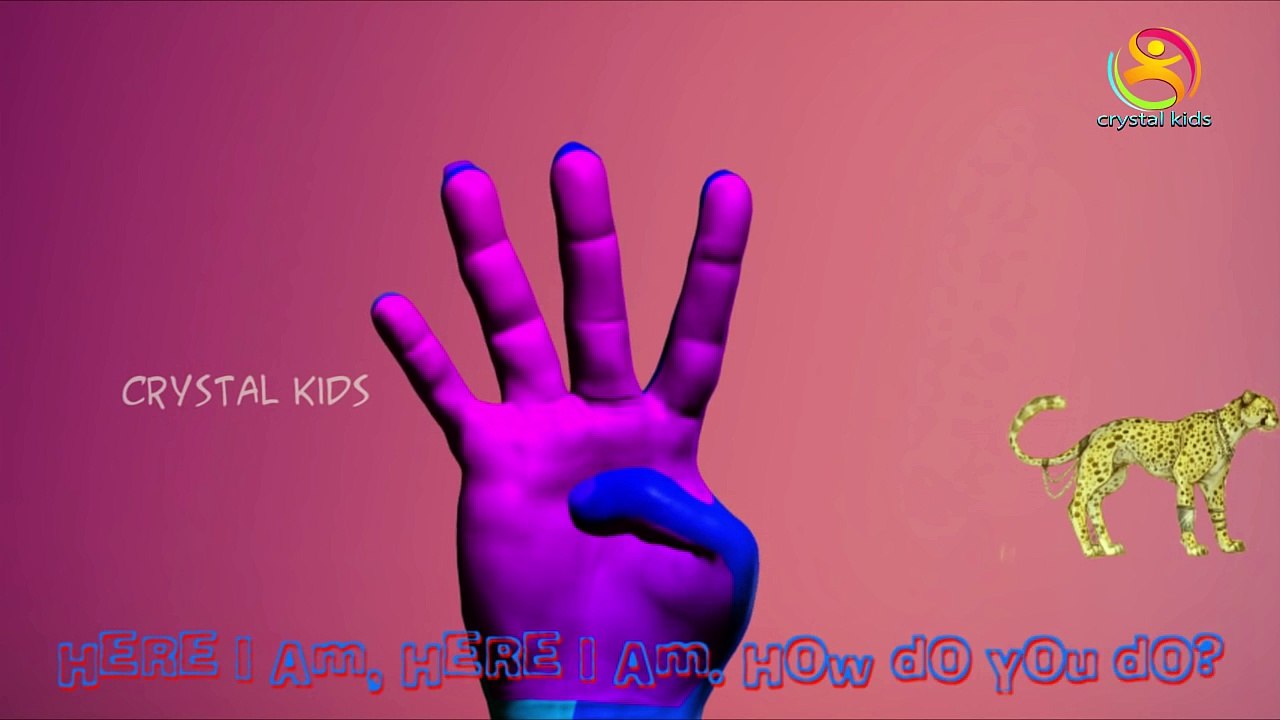 Finger family animals Nursery Rhymes collection | 3d Animated Animals For Children