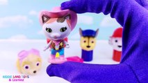Cute Paw Patrol Baby Doll Bath Time Slime Toy Surprises Learn Colors Marshall Chase Skye