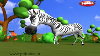 Zebra Nursery Rhyme | Animal Rhymes | Nursery Rhymes With Lyrics | Nursery Rhymes 3D Animation