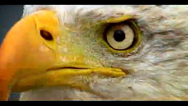 Jannes-dTPmLGxNPOs-HQ