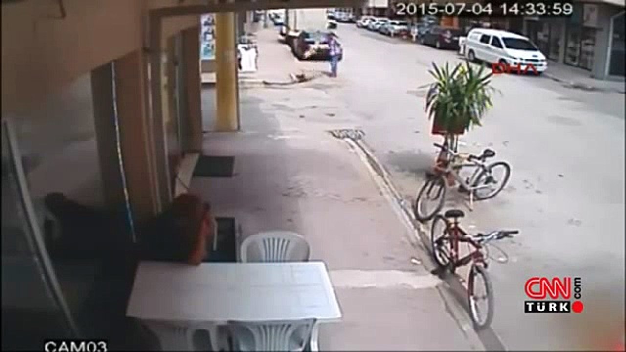 Kedi Köpeğe Saldırdı, Köpeğin Sahibi Silah Çekti