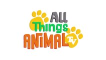SEA OTTERS  Animals for children. Kids videos. Kinderga 2