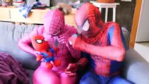 Spiderman el hombre Lobo vs Vampiro vs Zombie En la Vida Real w/ Rosa Spidergirl y Congelados vs T-Rex