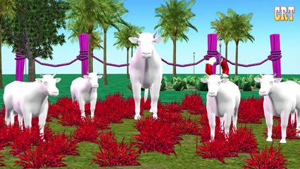 Toon Cow Colourful Colour Song Learning Nursery Rhymes For Children Rhymes Compilation