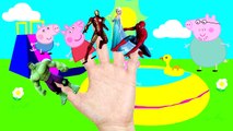Spiderman dedo de la familia de la canción | Superhéroes Rimas infantiles: Elsa, Joker, Batman, Hulk famil