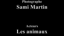 Sans Titre