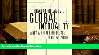 Popular Book  Global Inequality: A New Approach for the Age of Globalization  For Full