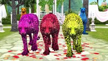 Johny Johny Sí Papa Rima de cuarto de niños Canciones para Niños de Animación 3D inglés Rimas Para Niños
