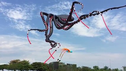 Gökyüzünde Süzülen Dev Ahtapot Uçurtması