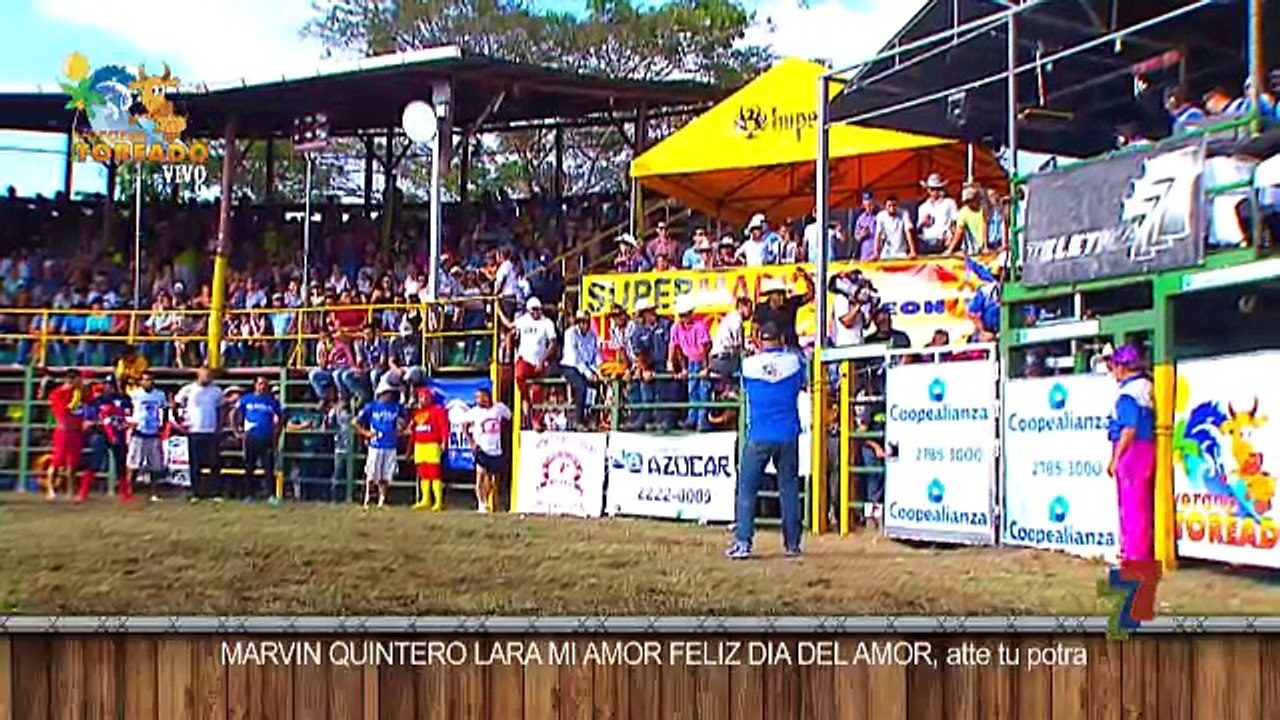 toros-pinolito-250217