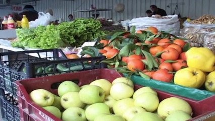 Report TV - Veliaj:Gjeli i Detit në Baldushk brenda garancisë ushqimore