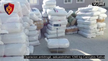 Report TV - Vlorë, kapen 1.2 ton kanabis gati për trafik, destinacion Italia