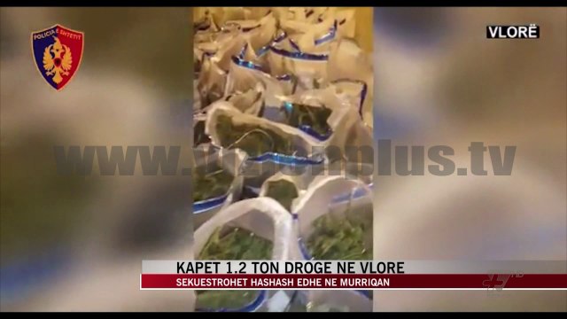 Sekuestrohet 1.2 ton kanabis në Vlorë, trafikantët arratisen në pyll - News, Lajme - Vizion Plus