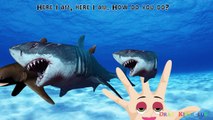 Animals superheros Finger family 3d animation for Kids - Sharks ice cream Finger family rh