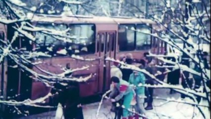 Forest Wish - Christos Fourkis..Raupenonkel...(Musik bricht Grenzen Remix)