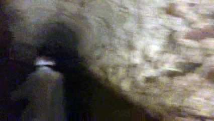 En el castillo  Cartagena De Indias