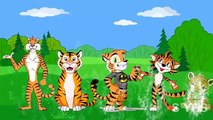 Tiger Finger Family | Popular Nyrsery Rhymes For Kids | 3D Animated Finger Family Nursery Rhymes