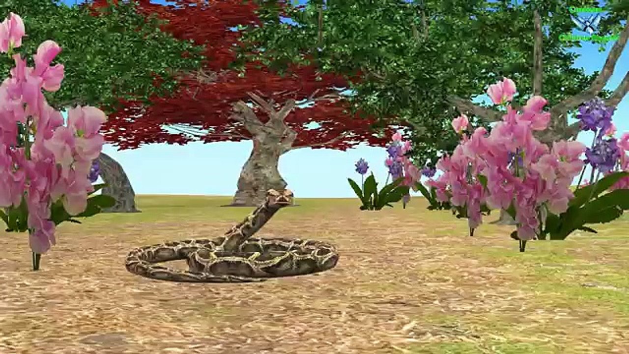 Cinderella Finger Family Cartoon Nursery Rhymes | For Kids By Cartoon Childrens Rhymes