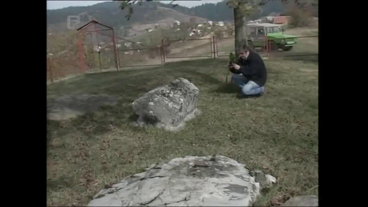 Zvijezda planina