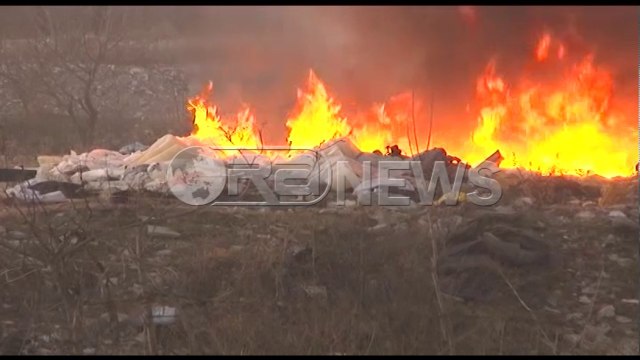 Katastrofë mjedisore në Shkodër, mbetjet digjen në mes të ditës