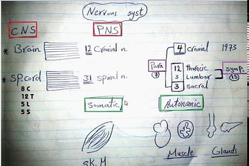 Easy Physiology - A.N.S - 4-Revision