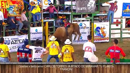 toros-pararayos-250217
