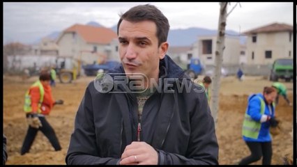 Plani vendor - Veliaj, kritikëve: Boll me baltë në banaqe TV, kapni lopatën e mbillni pemë
