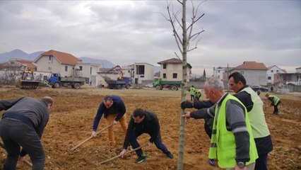 Report TV - Tiranë, nis ndërtimi i një parku të ri urban në Laprakë, mbillen 320 pemë